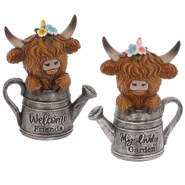 Garden Bloom Coo in Watering Can
