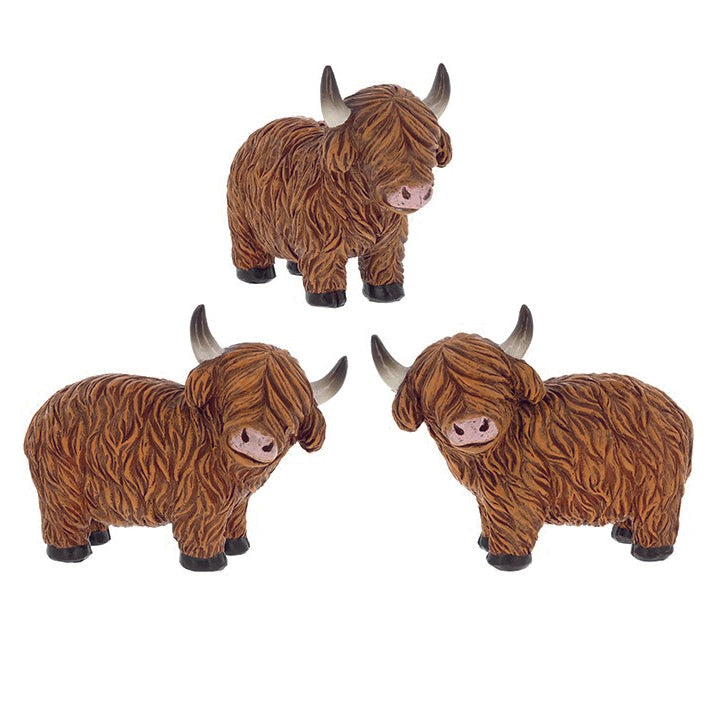 Happy Highland Coos, Standing