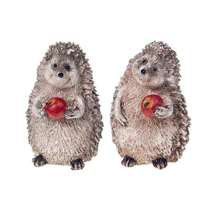 Happy hedgehog mini with apple