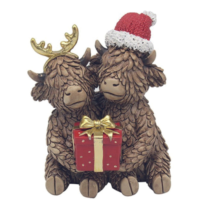 Hughie the Highland Cow, Couple With A Present