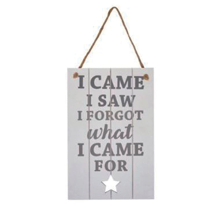 Large wooden sign - I came, I saw, I forgot what I came for
