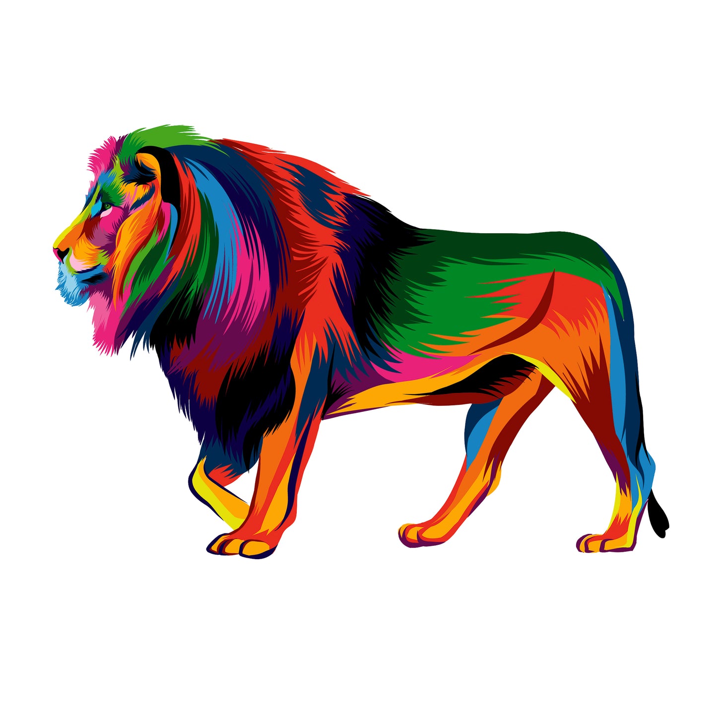 Framed Print. Bright and Beautiful Lion standing