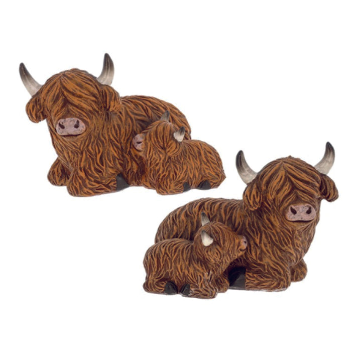 Happy Highland Coo, Lying with Calf