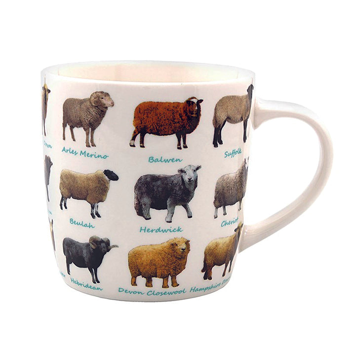 Boxed China Mug with Various Sheep Breeds