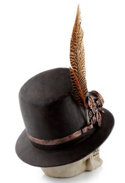 Steampunk style skull with top hat and feather ornament