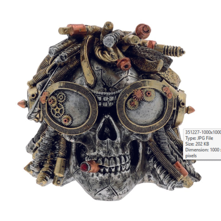 Steampunk Rasta Skull