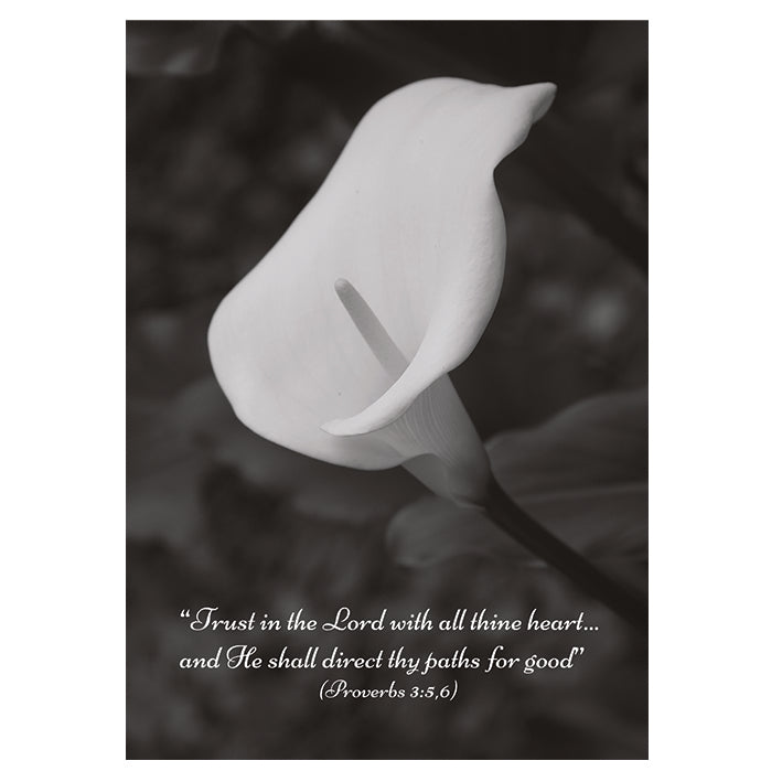 Framed Print. Trust in the Lord