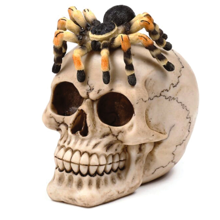 Skull with Tarantula Spider Ornament