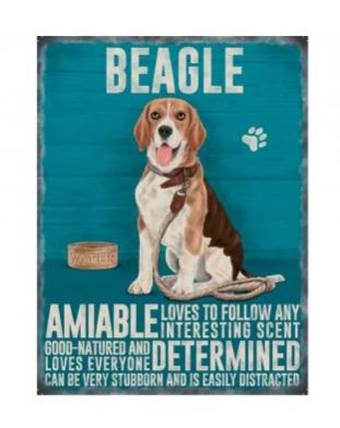 Large metal sign - Beagle