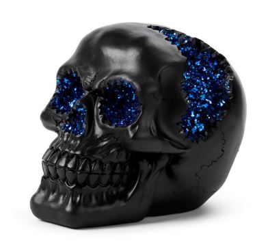 Black metallic skull with crystals