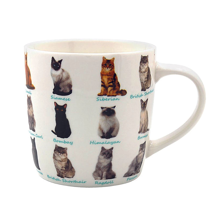 Boxed China Mug with Various Cat Breeds