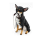 Chihuahua, black and tan, Dog ornament With Lead