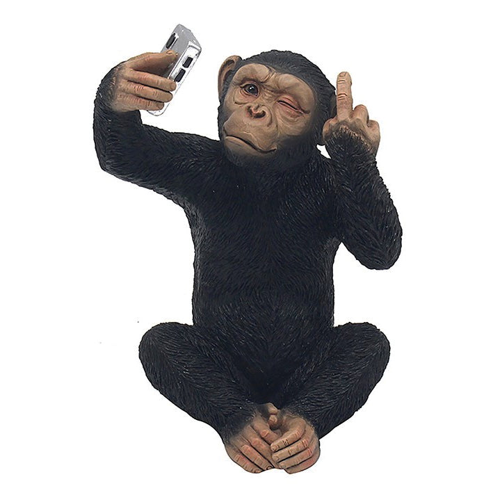 Cheeky Monkey Chimp sitting Giving the Finger Taking a Selfie