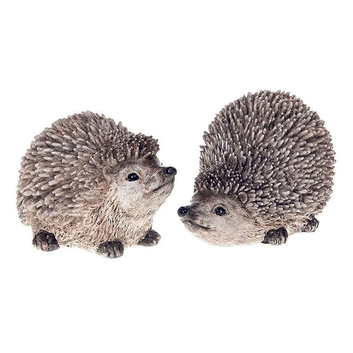 Country hedgehogs medium