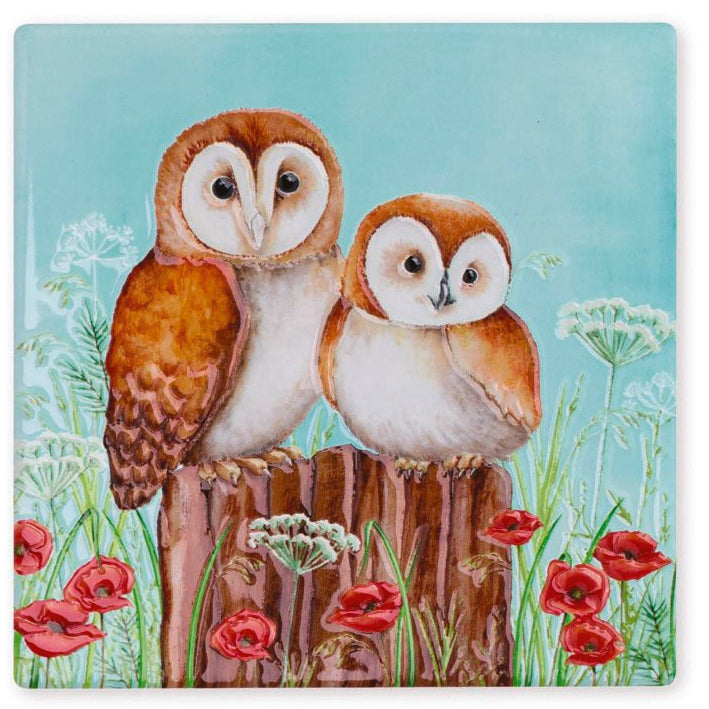 Coaster - Barn owls