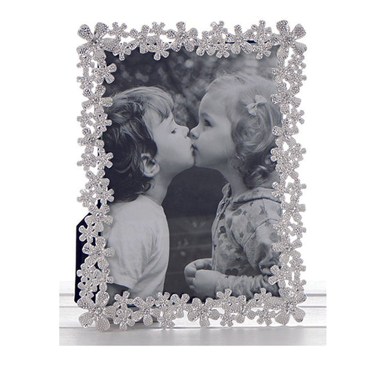 Photo Frame.  Daisy and Jewel Silver frame