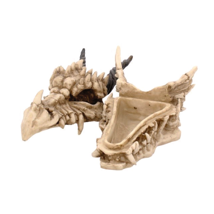 Dragon Skull Storage Box