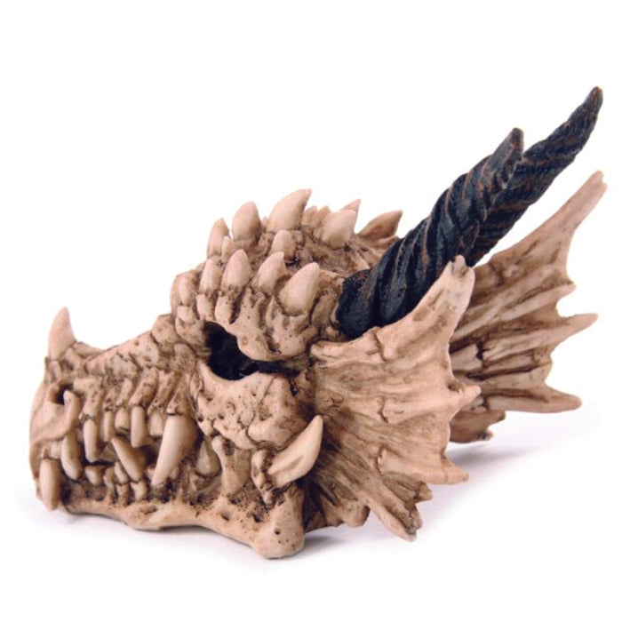 Dragon Skull Money Box