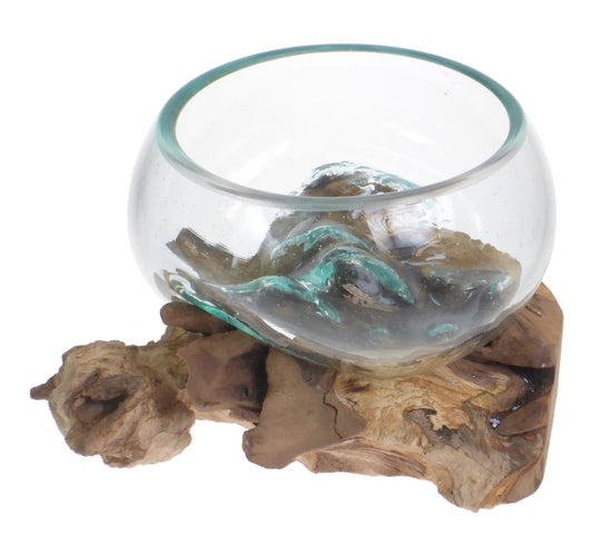 Medium glass bowl moulded onto piece of driftwood