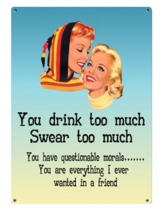 Large metal sign -You Drink too Much, Swear Too Much.... Everything I Ever Wanted in a Friend