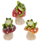 Fungi Frogs Stiting on Toadstool Ornaments