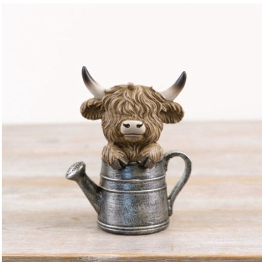 Highland Coo in a Watering Can