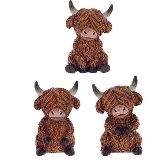 Happy Highland Coos, Sitting