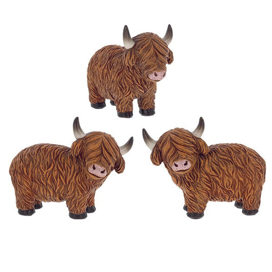 Happy Highland Coos, Standing