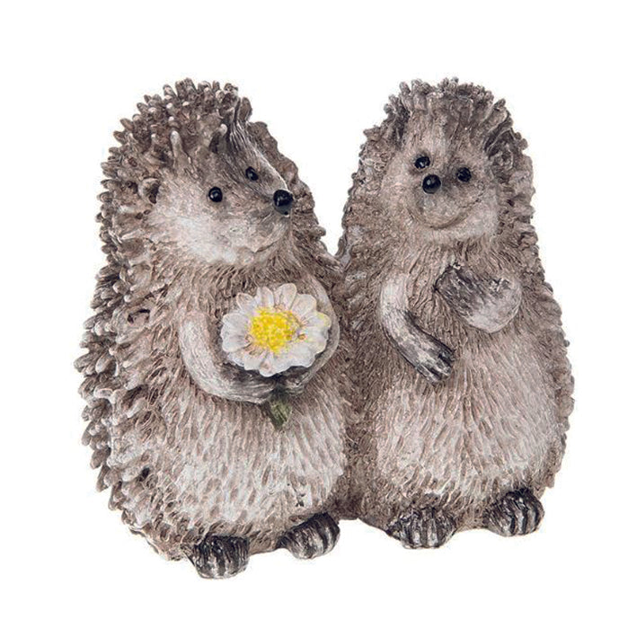 Happy hedgehogs pair with daisy