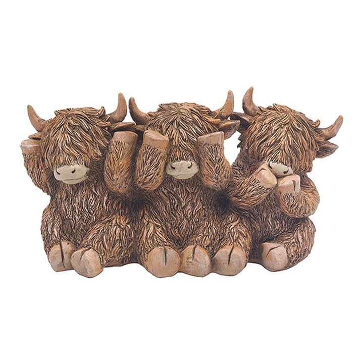 Hughie the Highland Cow hear no evil, speak no evil,  speak no evil