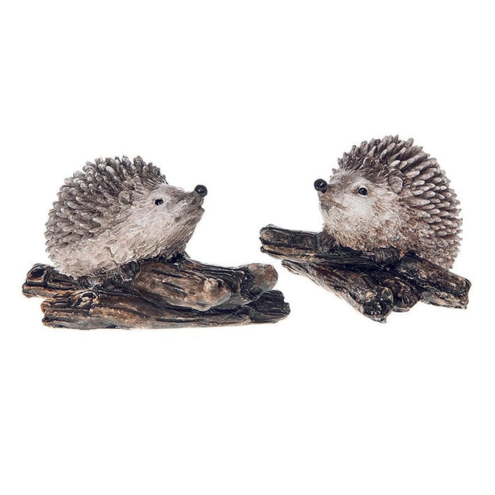 Country hedgehogs small on branch