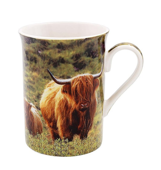 Boxed Mug with Highland Cow and Calf