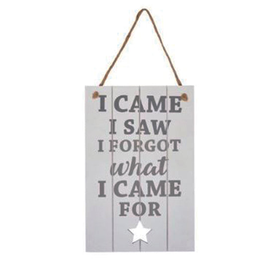Large wooden sign - I came, I saw, I forgot what I came for