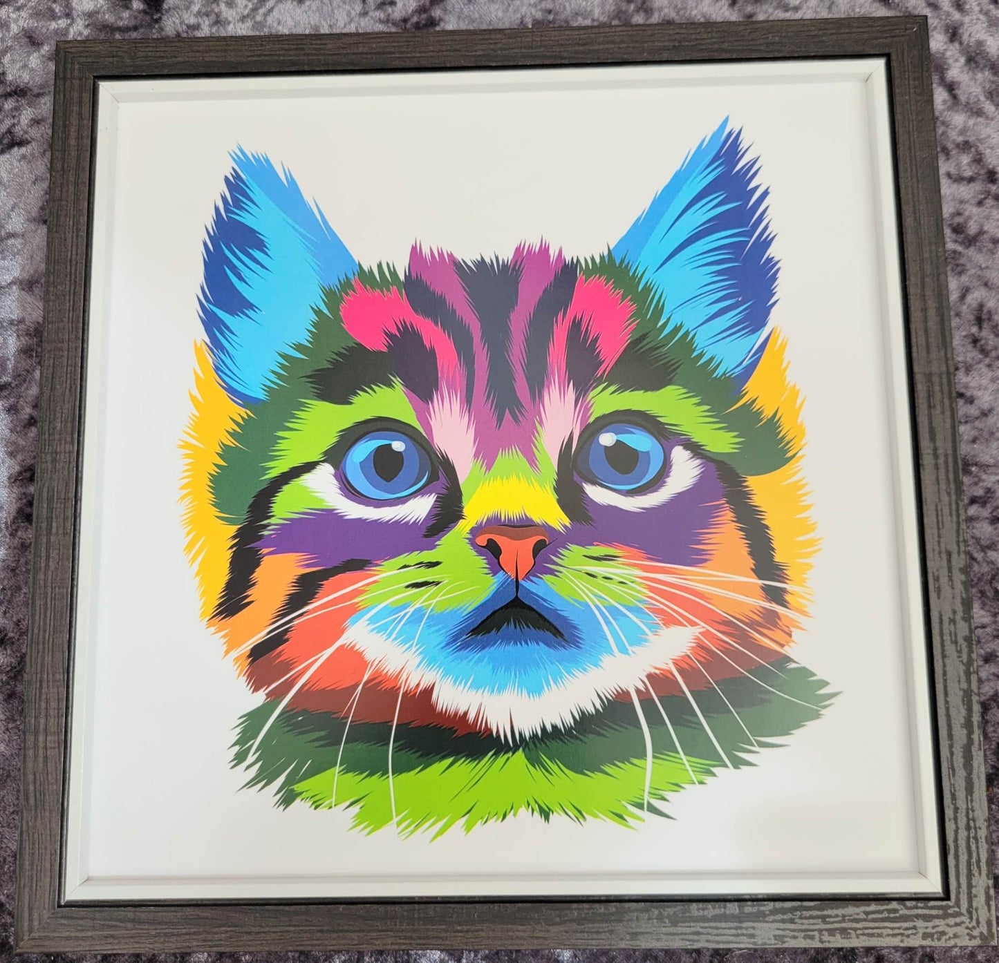 Framed Print.  Bright and Beautiful Kitten