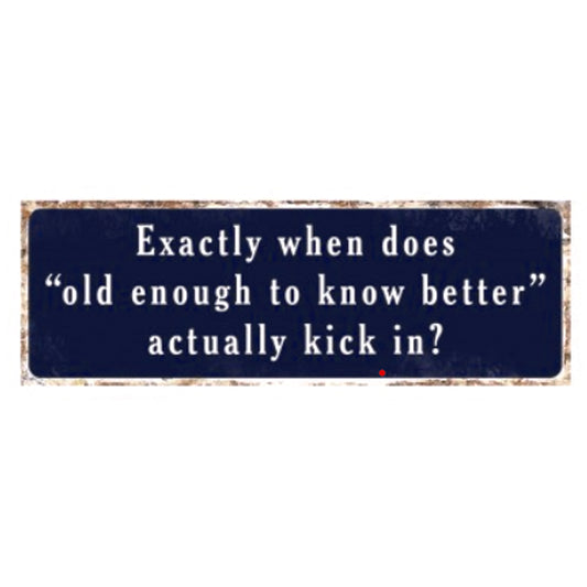 Lg Metal Sign - Exactly When Does Old Enough To Know Better Actually Kick In?