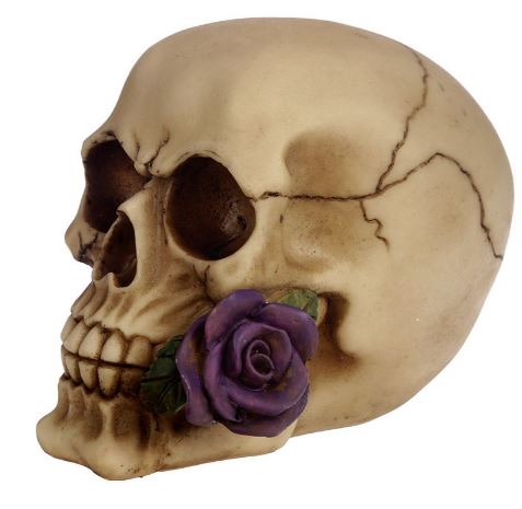 Med skull with purple rose in teeth