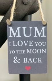 Mini metal sign - Mum I love you to the moon and back