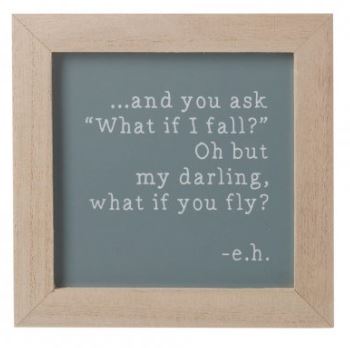 Framed Quotes.  What if I fall? - but what if you fly?