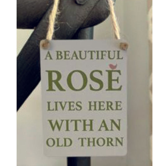 Mini metal sign - A beautiful Rose lives here with an old Thorn