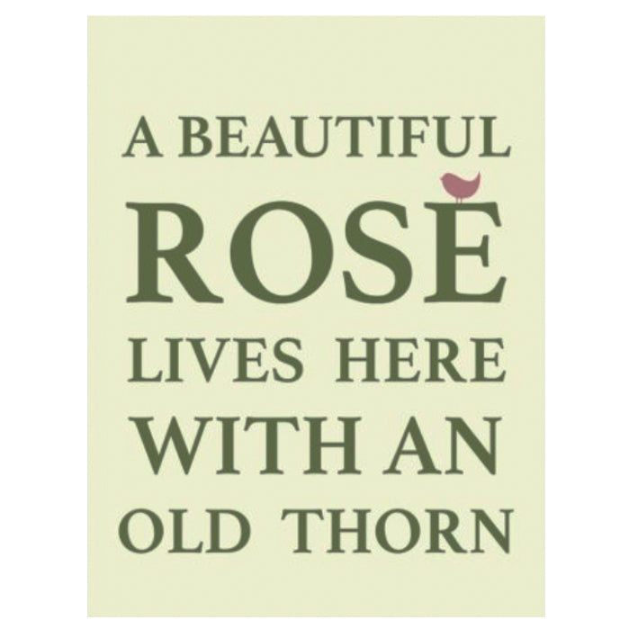 Large metal sign - A beautiful Rose lives here with an old Thorn
