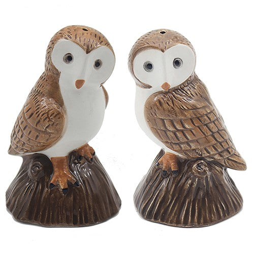 Ceramic Owls Salt and Pepper Set