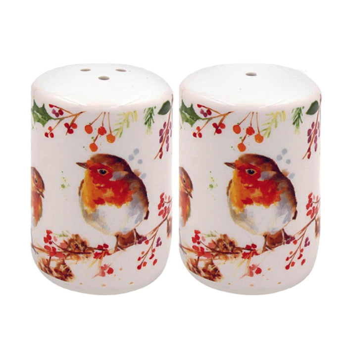 Ceramic Salt and Pepper Set - Jennifer Rose Winter Robins