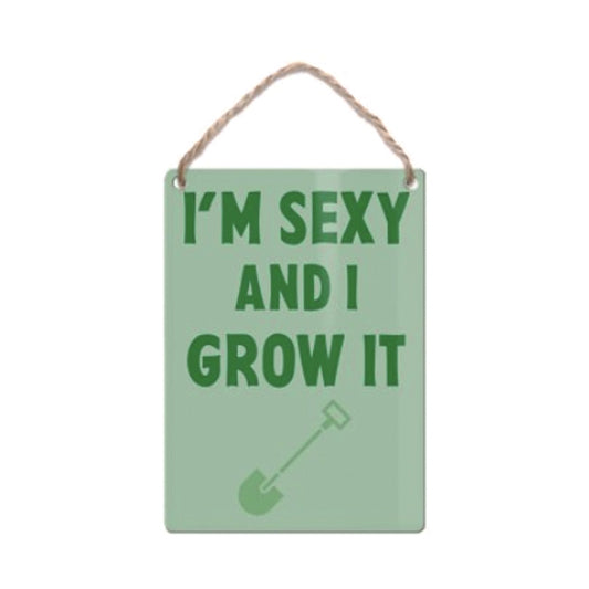 Mini metal hanging sign - I'm sexy and I grow it