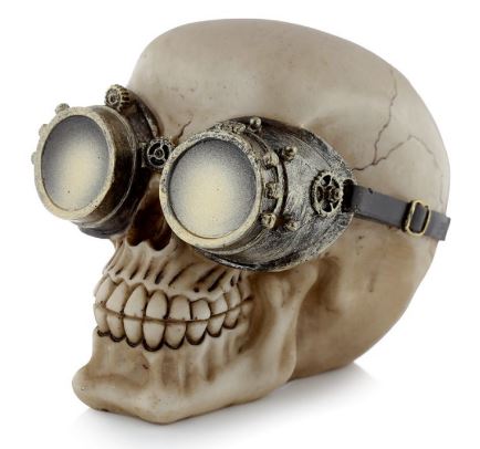 Skull with goggles