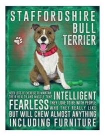 Large metal sign - Staffordshire Bull Terrier