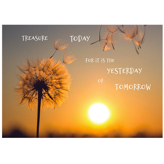 Framed Print.  Treasure Today for it is the Yesterday of Tomorrow - Dandelion Clock at Sunset.