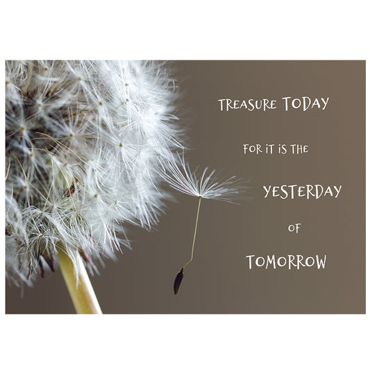 Framed Print.  Treasure Today for it is the Yesterday of Tomorrow.  Dandelion Clock on Grey.