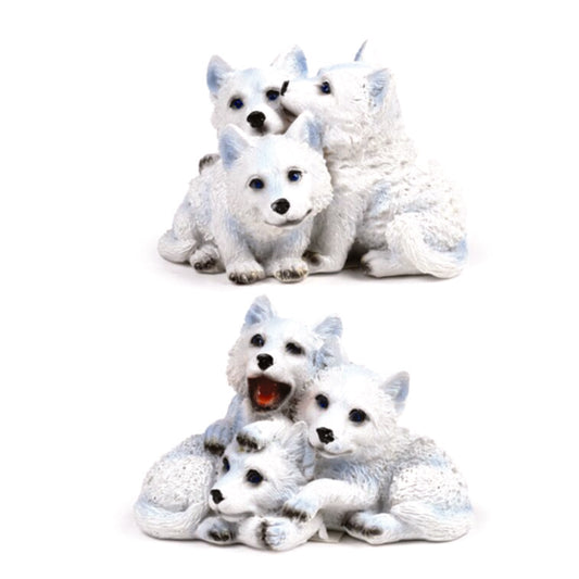 Wolf cubs