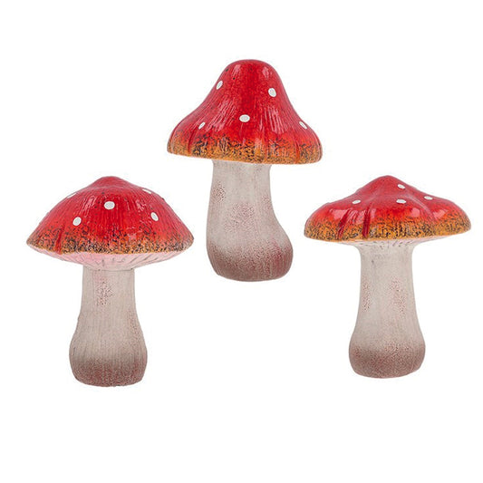 Mystic Mushrooms Single Large