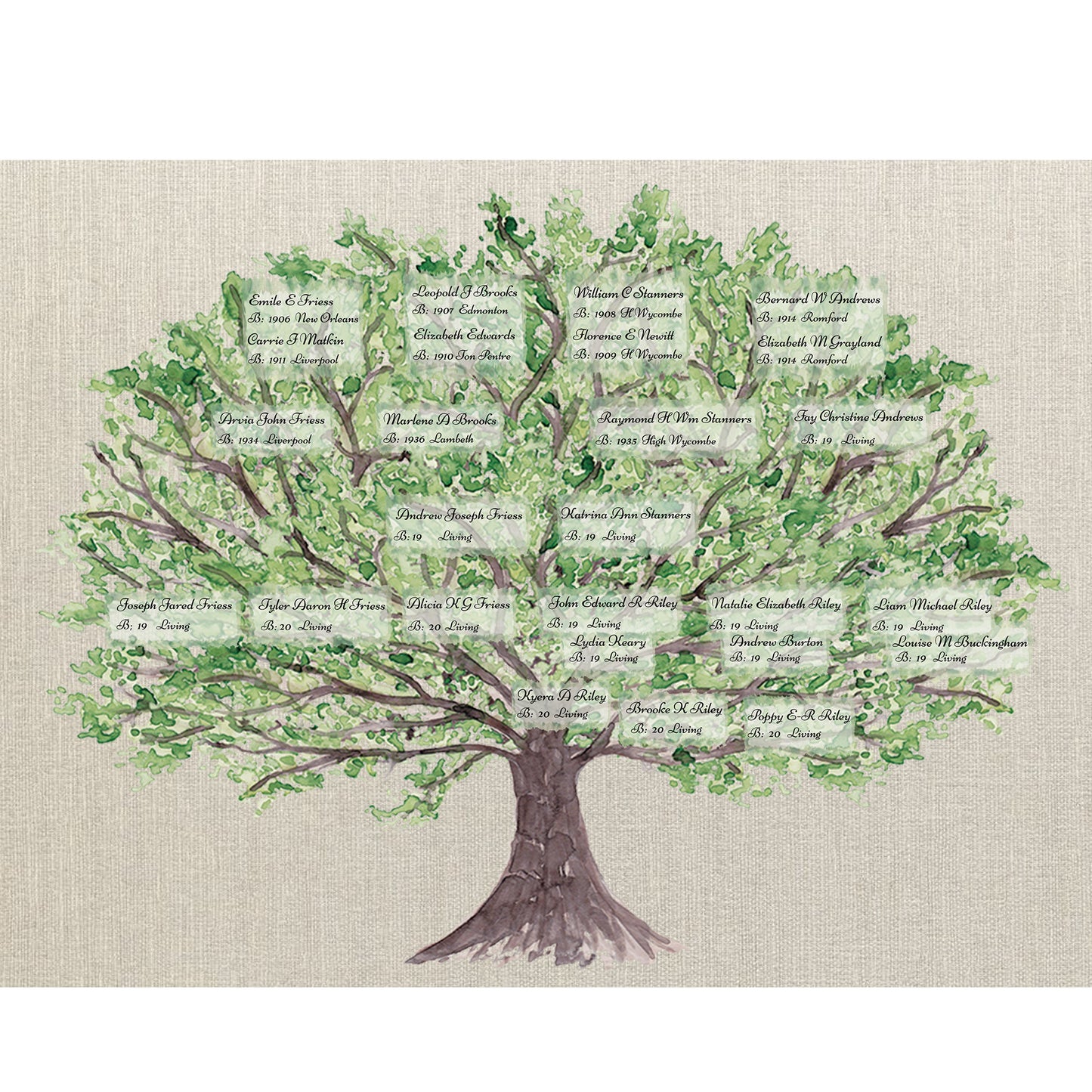 Family History Tree, framed and printed in A3